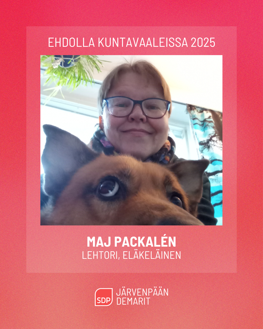 Ehdokasesittely: Maj Packalén